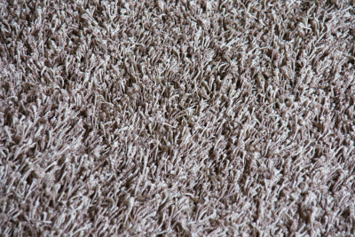 Carpet, par Xavier E. G. Dierick